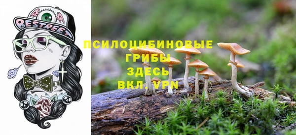 прущая мука Алзамай