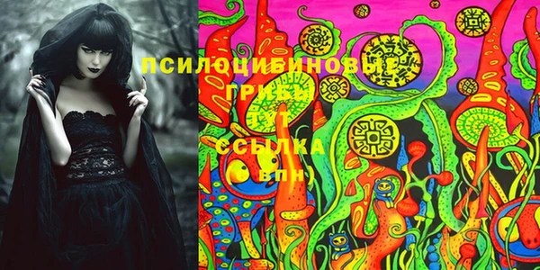 прущие крисы Алексеевка