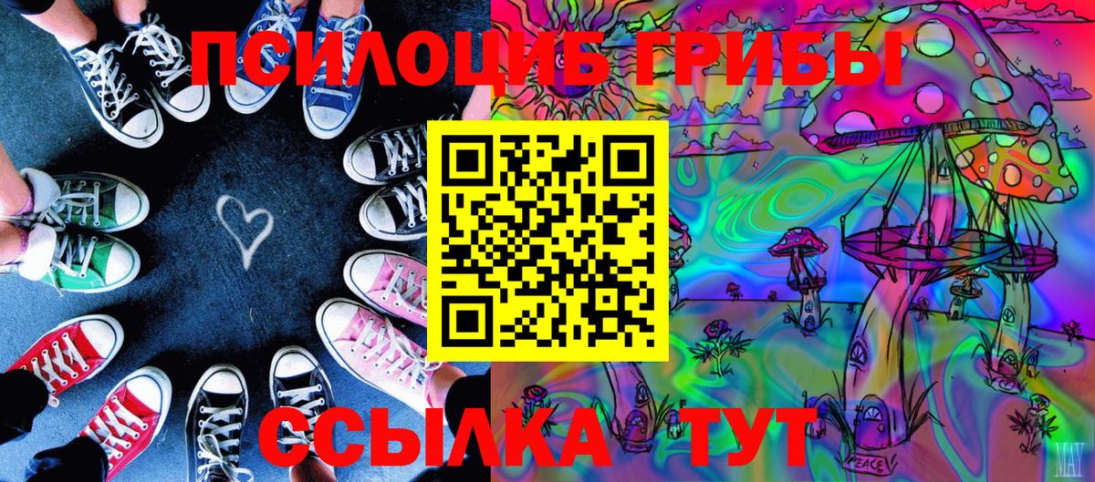 Галлюциногенные грибы прущие грибы  Вход с VPN  Чайковский 